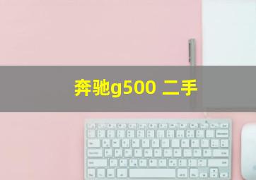 奔驰g500 二手